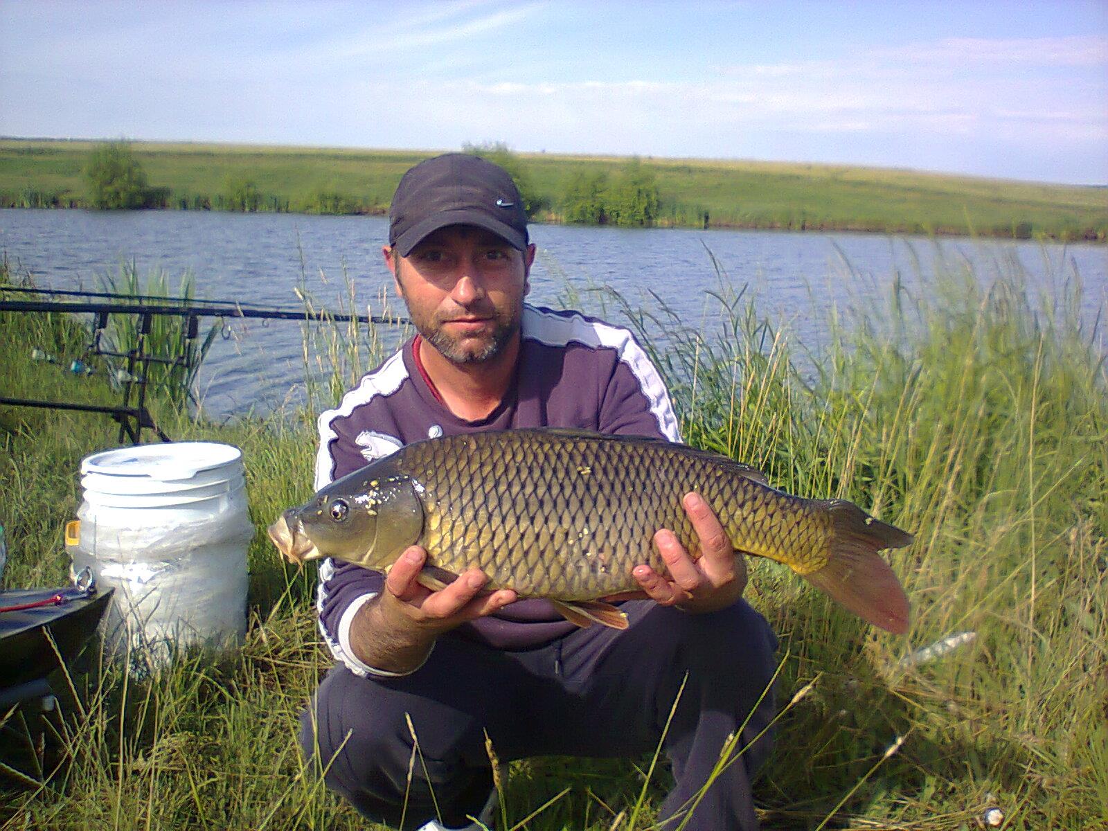 Sandu la pescuit - crap 4kg balta Silistea (La Lilieci)